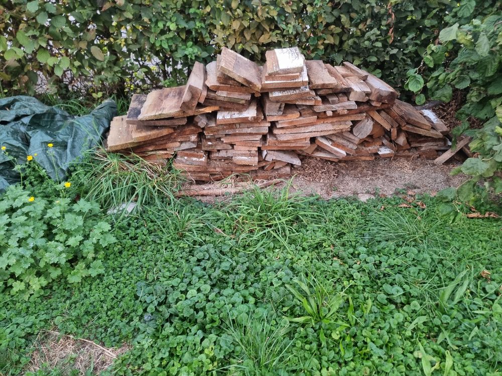 Holz zu verschenken Kaufen auf Ricardo