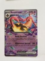  Arte Pokémon BANSHIYROUYE cri 041 fr