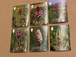 6 Jersey Orchideen *Neu* Briefmarken 2003/0