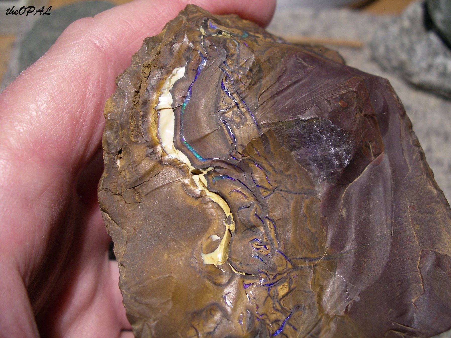 Minéraux & Lithothérapie: theOPAL*** GROSSER ROHER BOULDER MATRIX NUSS OPAL 2540ct *** – Neuf avec emballage d'origine à Ebnat-Kappel par theOPAL 5