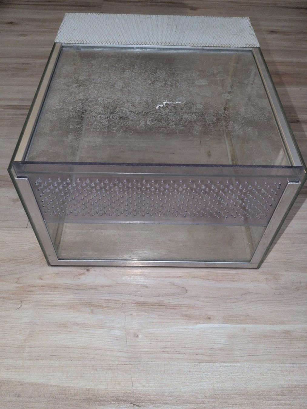 Terrario: Terrarium – Usato da Adliswil venduto da lul_5h6f 1