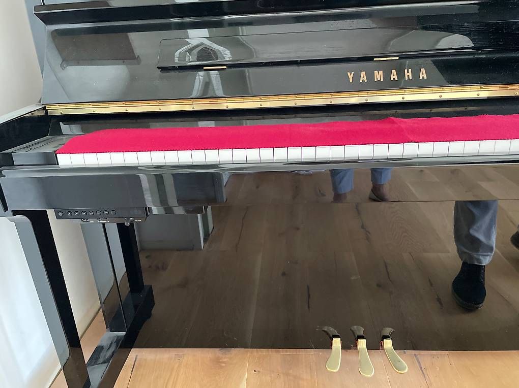 Strumenti musicali: Yamaha Klavier mit Silent Technology – Usato da Arboldswil venduto da son_h59c 2