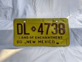 Altes Nummernschild New Mexico DL 4738 80 🇺🇸 Zustand gut