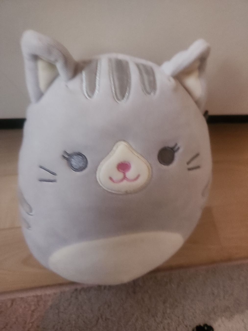 Squishmallows Spielzeuge: Original Squishmallows Katze  Plüschtier / Plüsch – Gebraucht aus Bözberg von Szni_9s8z 2