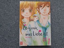 Zeig mir, was Liebe ist 1 Manga