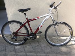 Arrow Chipawa Retro Mountainbike