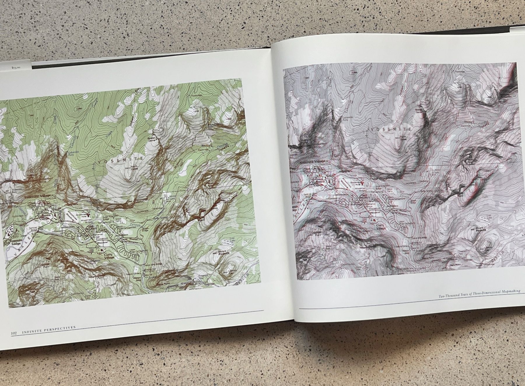 Libri: Infinite Perspectives Mapmaking – Usato da Zürich venduto da Octopus-275 3