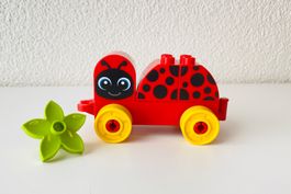 Lego Duplo 10859 Mein erster Marienkäfer - erste Bauerfolge