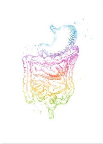 Posters & Illustrations: Poster Regenbogen Darm, Versand auch möglich – Neuf avec emballage d'origine à Neuenhof par summer_25