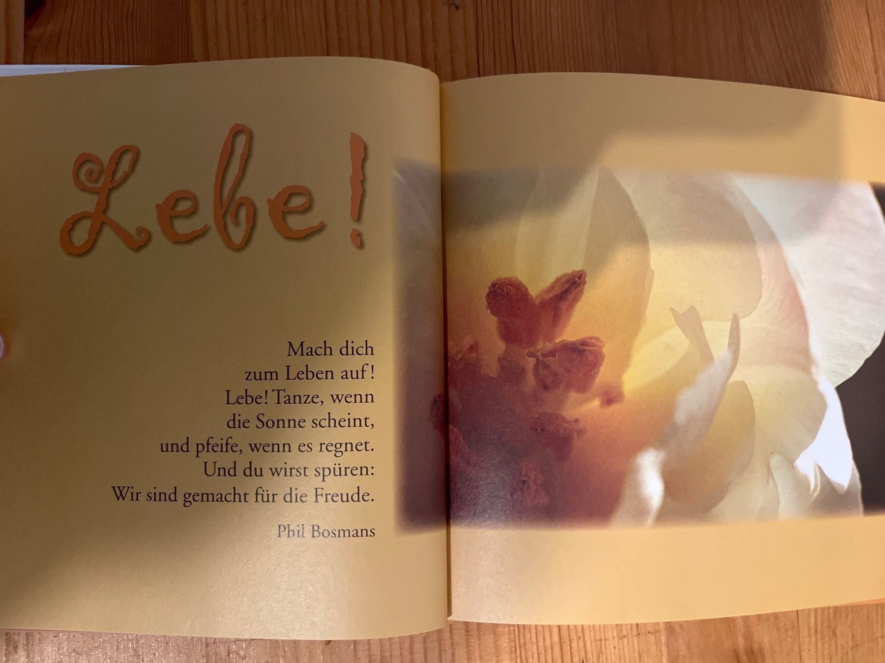 Bücher: Buch Geniesse den Tag Buch der Lebensfreude – Neu (gemäss Beschreibung) aus Andelfingen von  3