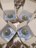 Katzenminze 4er Set