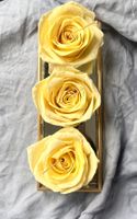 wunderschöne Rosen Kerzen. Geschenk zur Hochzeit, Jahrestag,