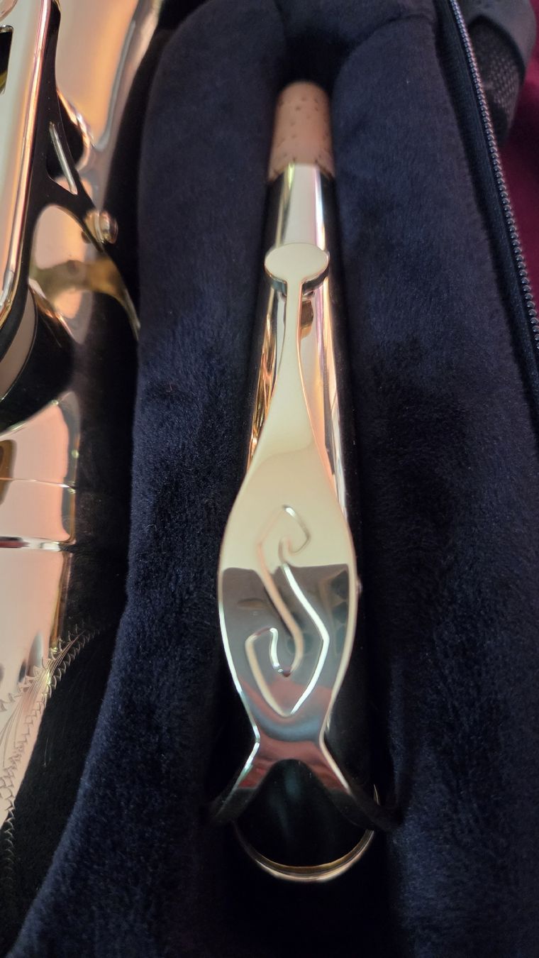 Selmer Strumenti musicali: alt Saxophon selmer – Usato da Wollerau venduto da flitzi88 3