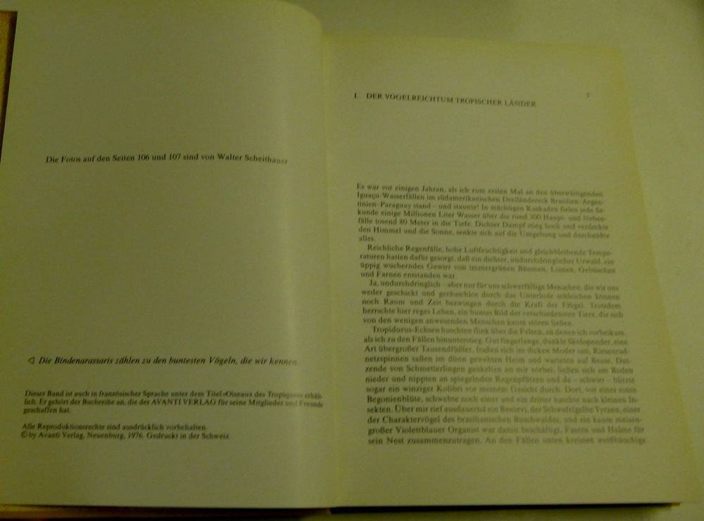 Buch 5
