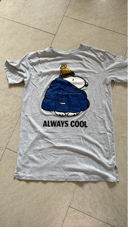Snoopy T-Shirt, Always Cool, Grösse M, Grau, Top Zustand