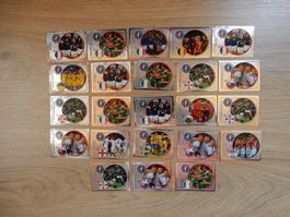 Panini EM 2016