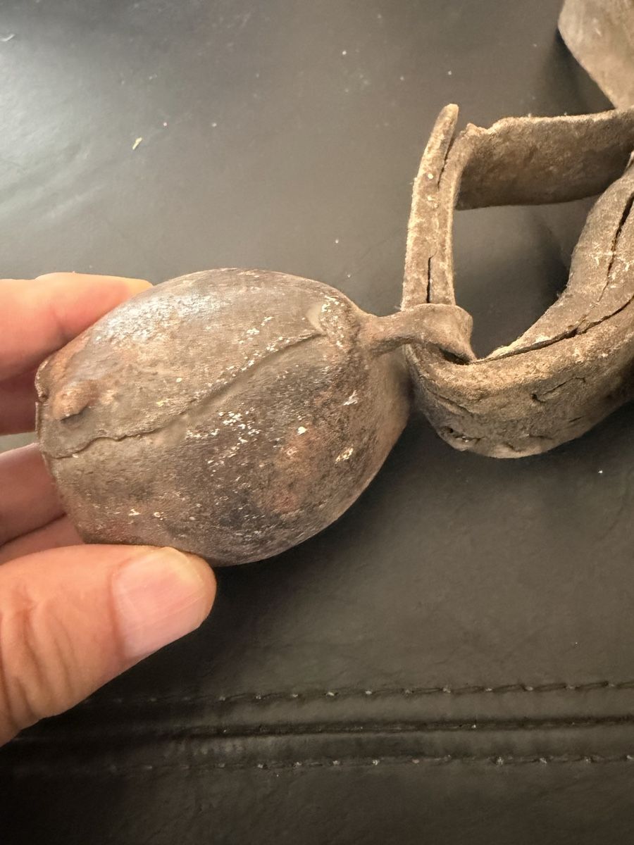 Campanacci mucche: Glocke  – Usato da Baden venduto da noli.r 1