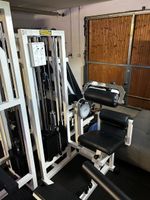 Technogym Lower Back R.O.M. Kraftgerät gebrauchter Zustand