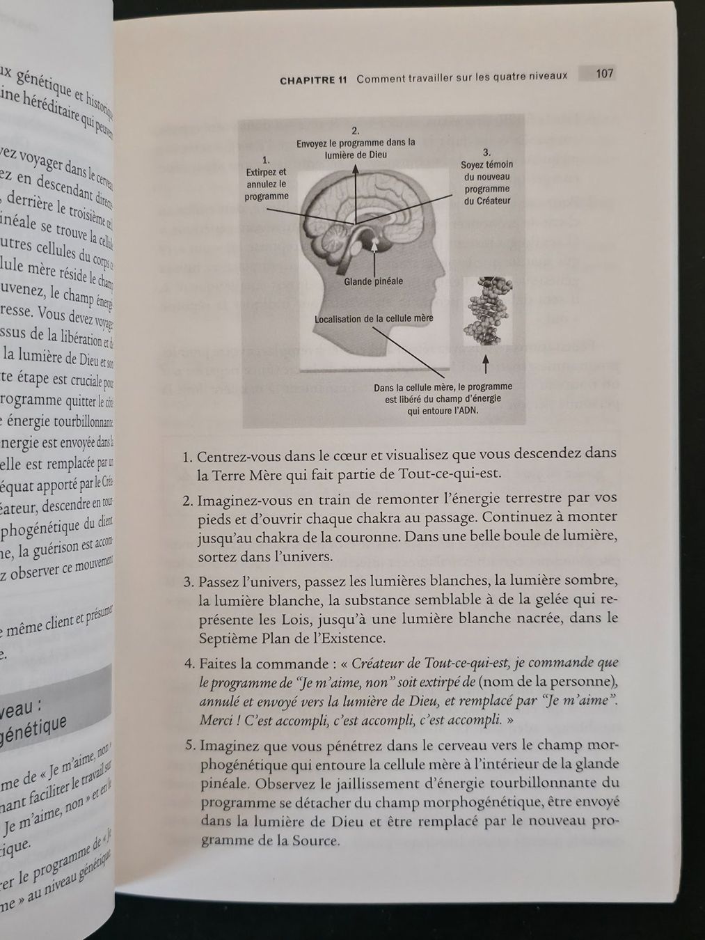 Libri: La Technique Du ThetaHealing Vianna Stibal Guy Trédaniel Éds – Usato da Montreux venduto da Edelweissgirl_64 8
