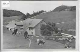 Vorderer Weissenstein - Wirtschaft z. Sennhaus