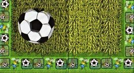 2 Servietten  Fussball  Rasen
