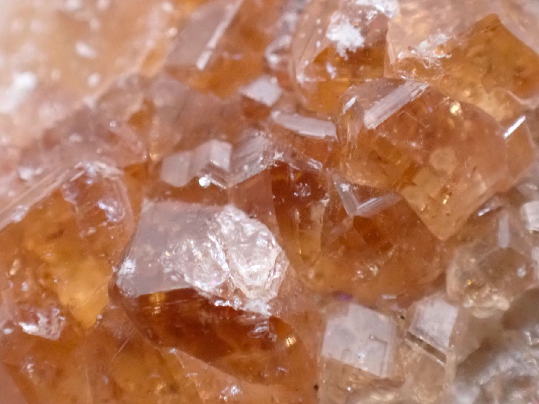 Mineralien & Heilsteine: RaRe Hessonite Jeffrey Mine, Québec, Canada – Gebraucht aus Figino von panshop 6