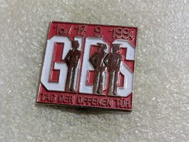 Ansteckpin 208: GBS