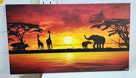 Natur Bild