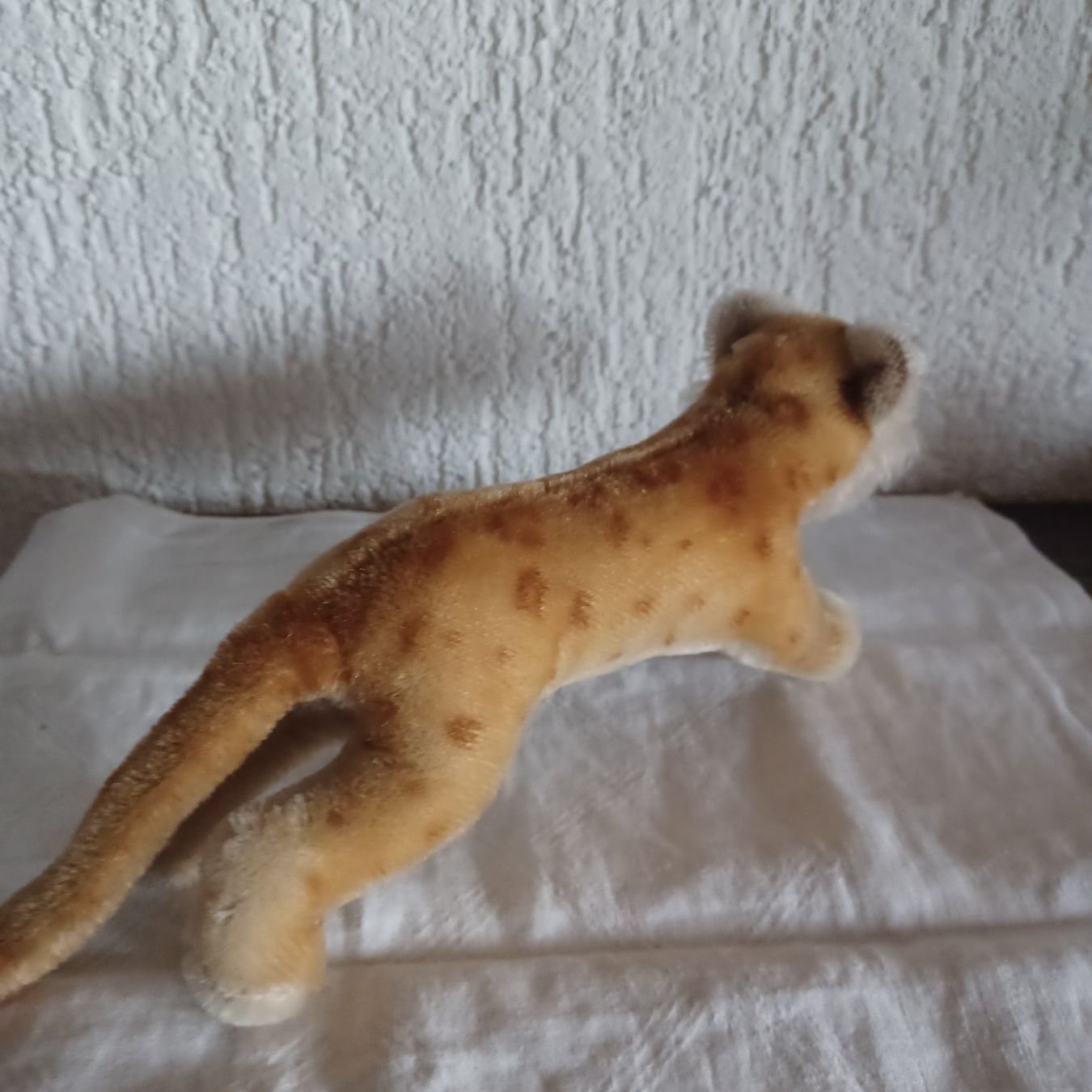 Steiff Spielzeuge: Junglöwe Steiff 14 cm gross – Gebraucht aus Abtwil SG von luupsy 3