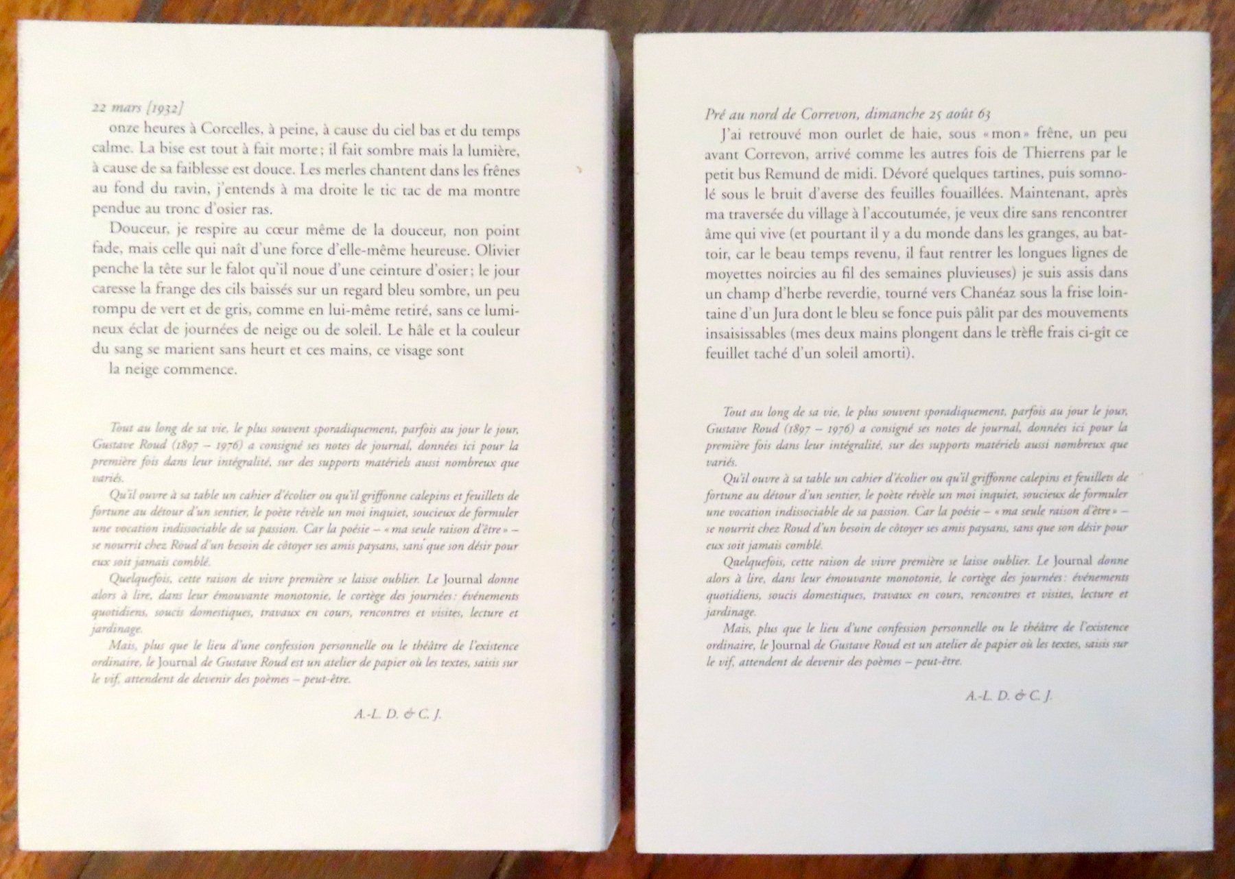 Libri: Gustave Roud - Journal. Carnets, cahiers et feuillets – Usato da Le Locle venduto da LibrairieLaBergerie 1