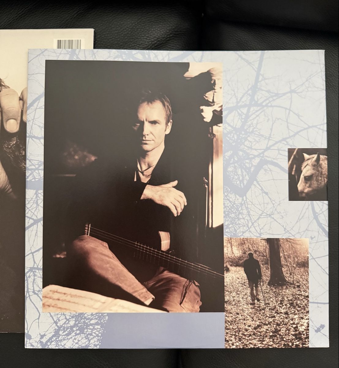 Dischi in vinile: Sting Mercury Falling Schallplatte LP – Usato da Goldach venduto da Donpancho 5