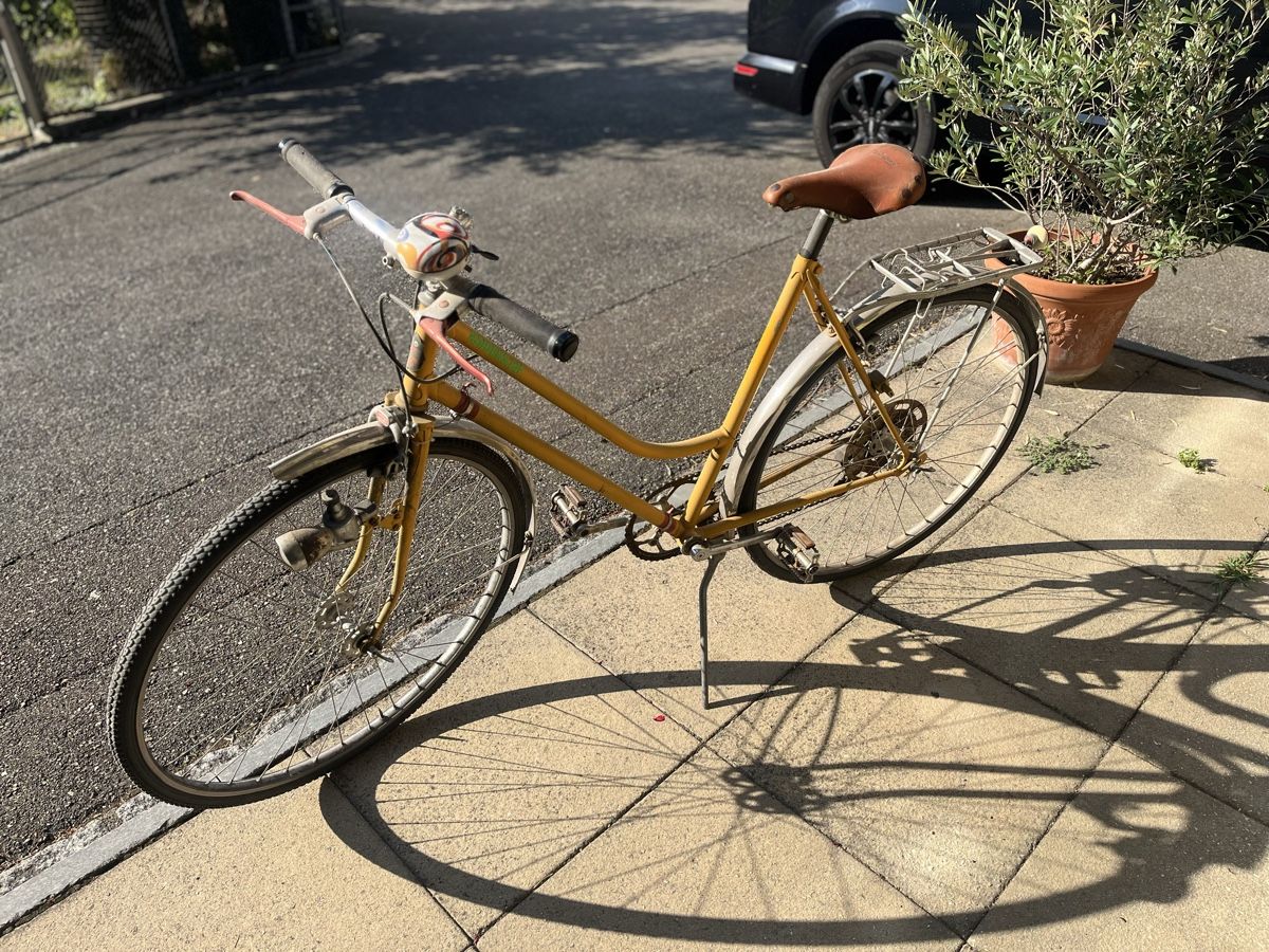 Biciclette: Altes Damen fahrrad – Usato da Bennwil venduto da Mseko 8