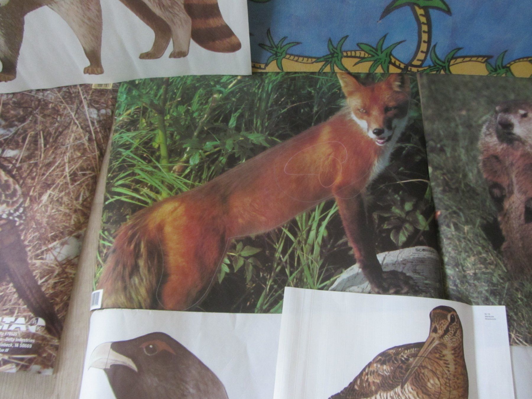 Bogenschiessen: Scheiben Auflagen Bogenschiessen Scheibenbild Diverse Tiere – Gebraucht aus Malters von moc_z8d9 7