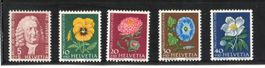 1958 PJ Albrecht von Haller, Wiesen und Gartenblumen