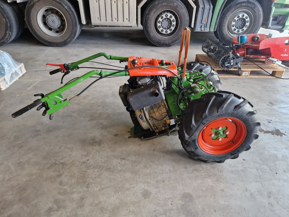 Agria Kaufen auf Ricardo