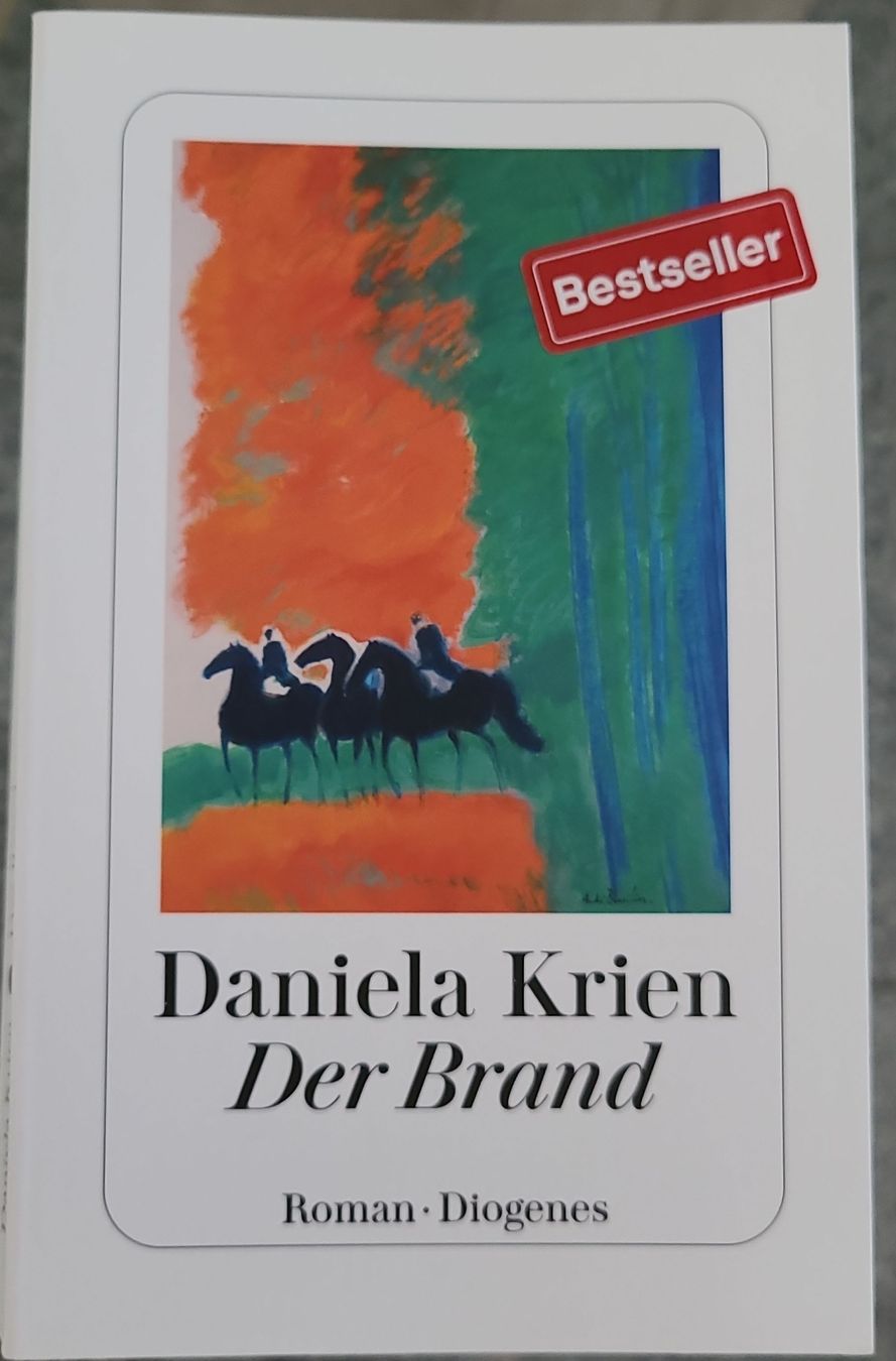 Livres: Daniela Krien Der Brand Roman Diogenes – D'occasion à Horgenberg par Klatschmohnmaria