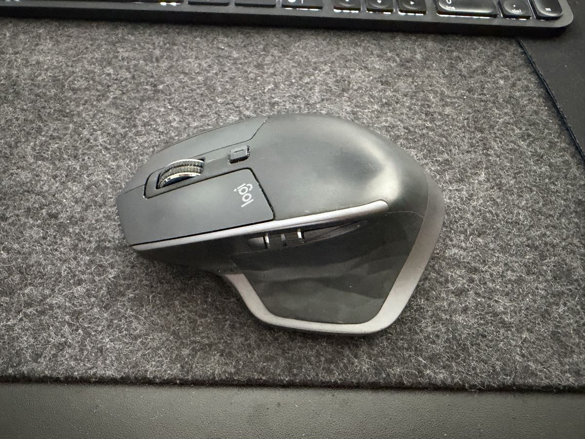 Logitech Mouse: Logitech MX Master 2S – Usato da Zürich venduto da jankais3r 2
