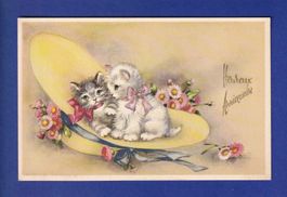 CHAT - Chatons