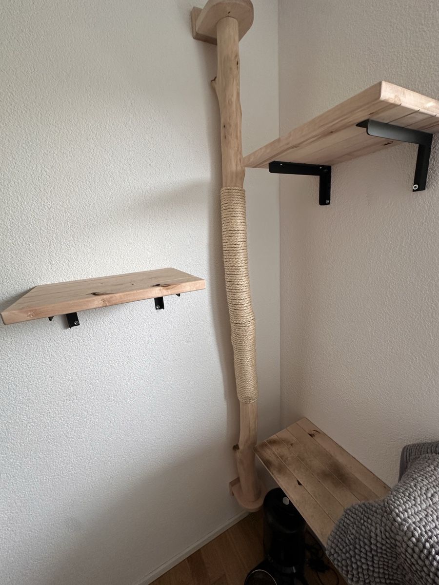 Tiragraffi: Katzenwand inkl. Katzenrad – Usato da Bütschwil venduto da jojo99 3