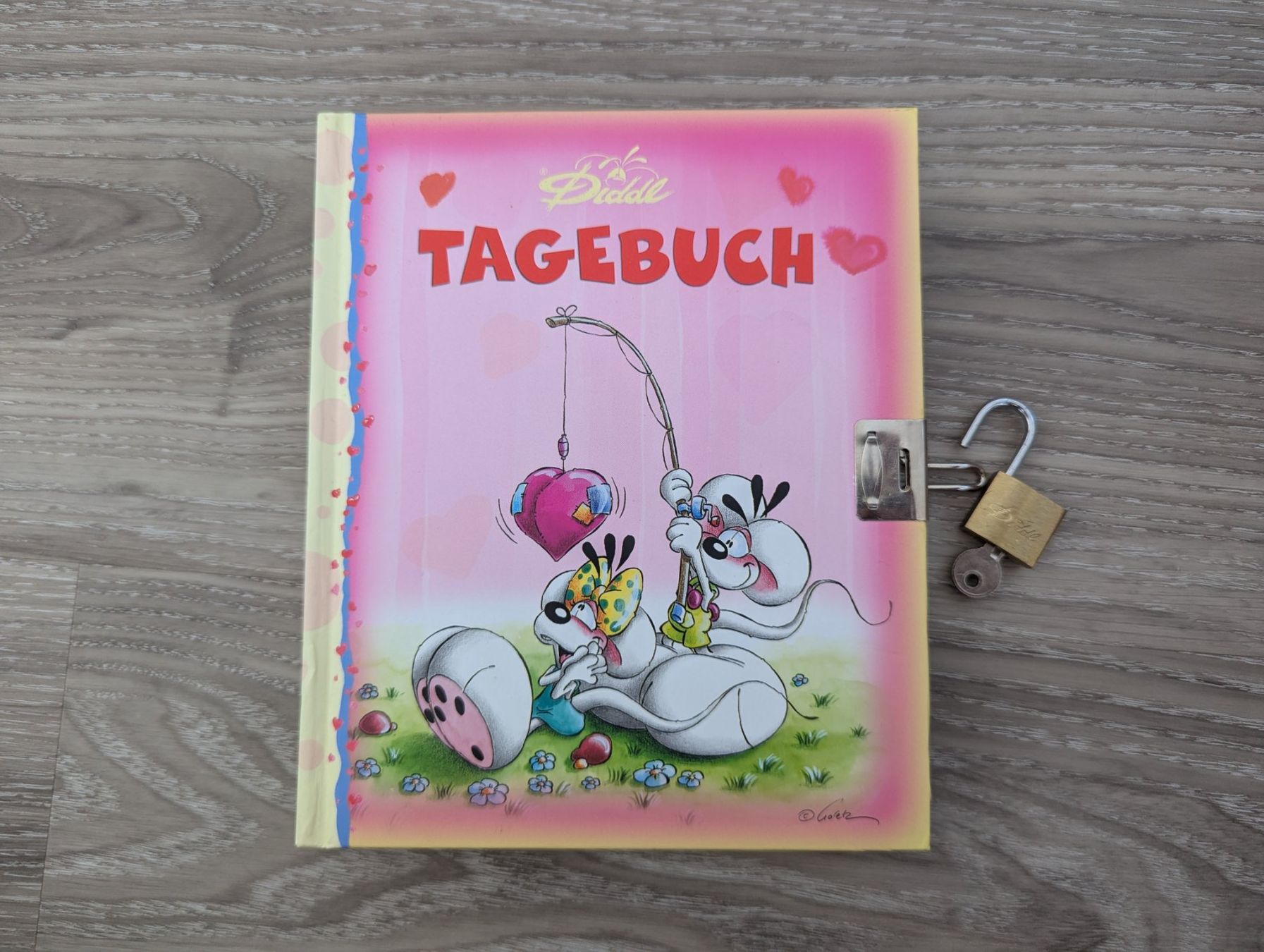 Figurines: DIDDL | Tagebuch mit Schloss – Neuf (Voir description) à Wolfhausen par janine621