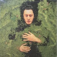 ALAIN BASHUNG - FANTAISIE MILITAIRE