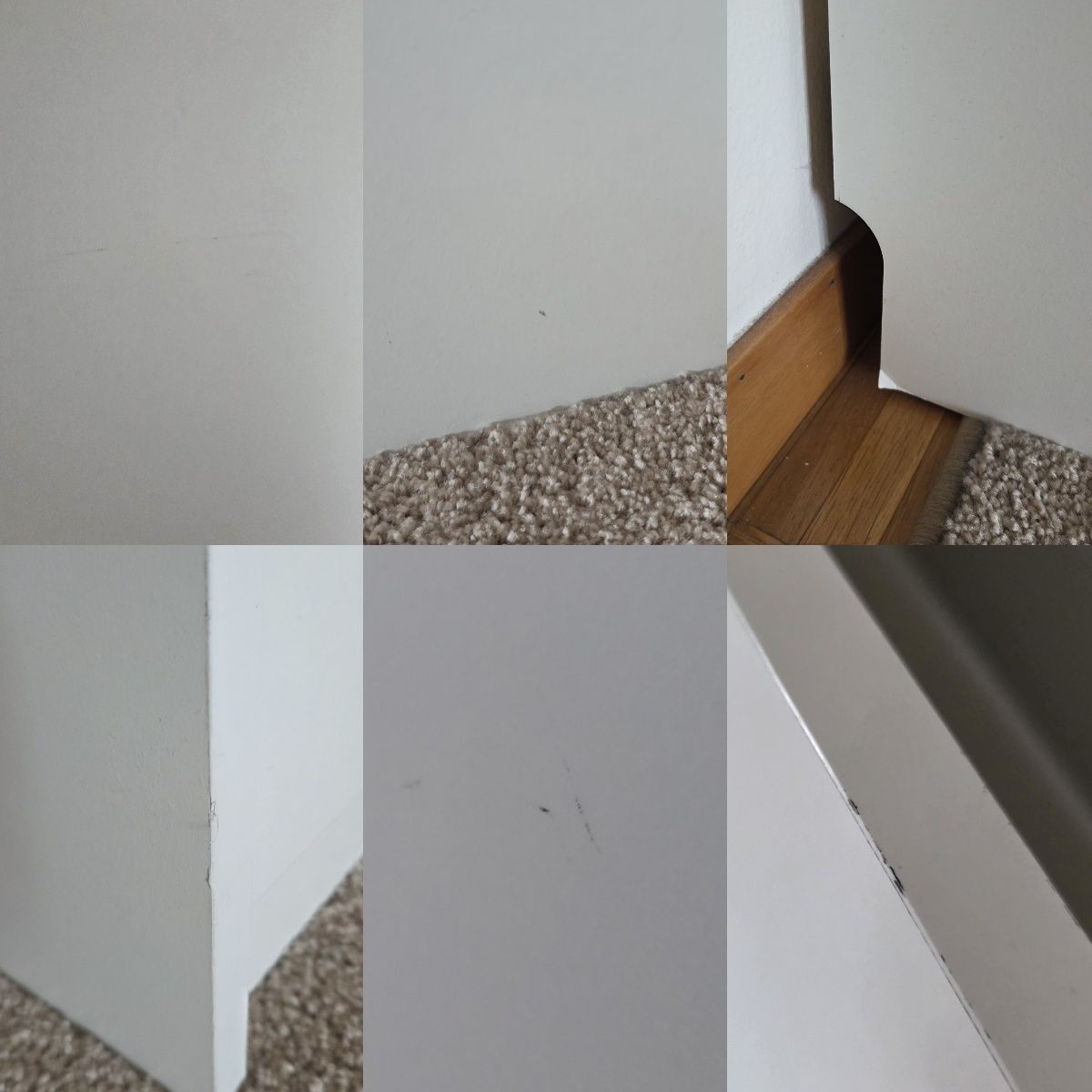 Scaffali: Scarpiera BISSA IKEA – Usato da Bellinzona venduto da Skiley99 2