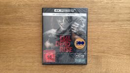 Evil Dead Rise - 4K UHD Blu-Ray