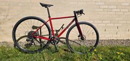 Genesis Cityflizzer Neu.