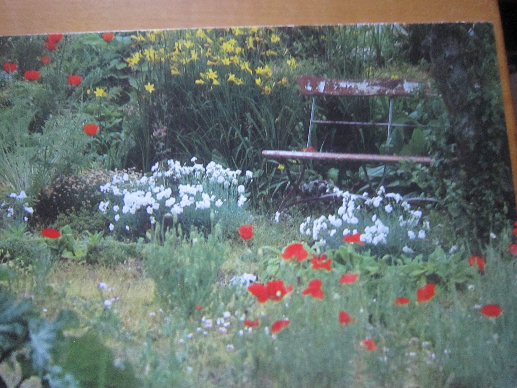Cartoline postali: No 2 Postkarten Blumen – Usato da Gordola venduto da Polentaefung 4