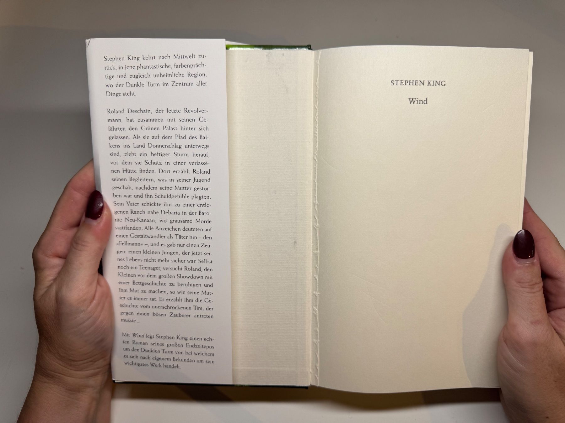 Libri: ROMAN: Stephen King, Wind – Usato da Grosswangen venduto da Deutsche_Romane 2