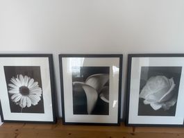 Bilderset schwarz weiss
