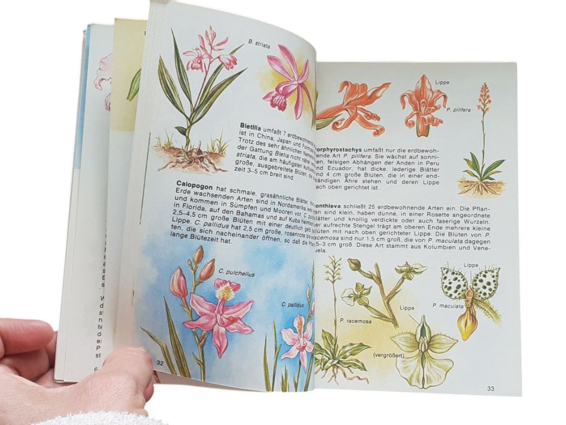 Libri: Orchideen. Wildwachsende Arten aus aller Welt – Usato da Mörschwil venduto da lindaswunderkiste 5