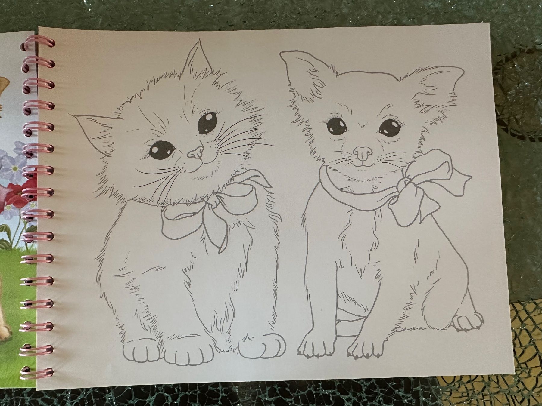 Bücher: Creative Studio Animal Love Zeichnungsheft – Gebraucht aus Riedt b. Erlen von sina.aline 3