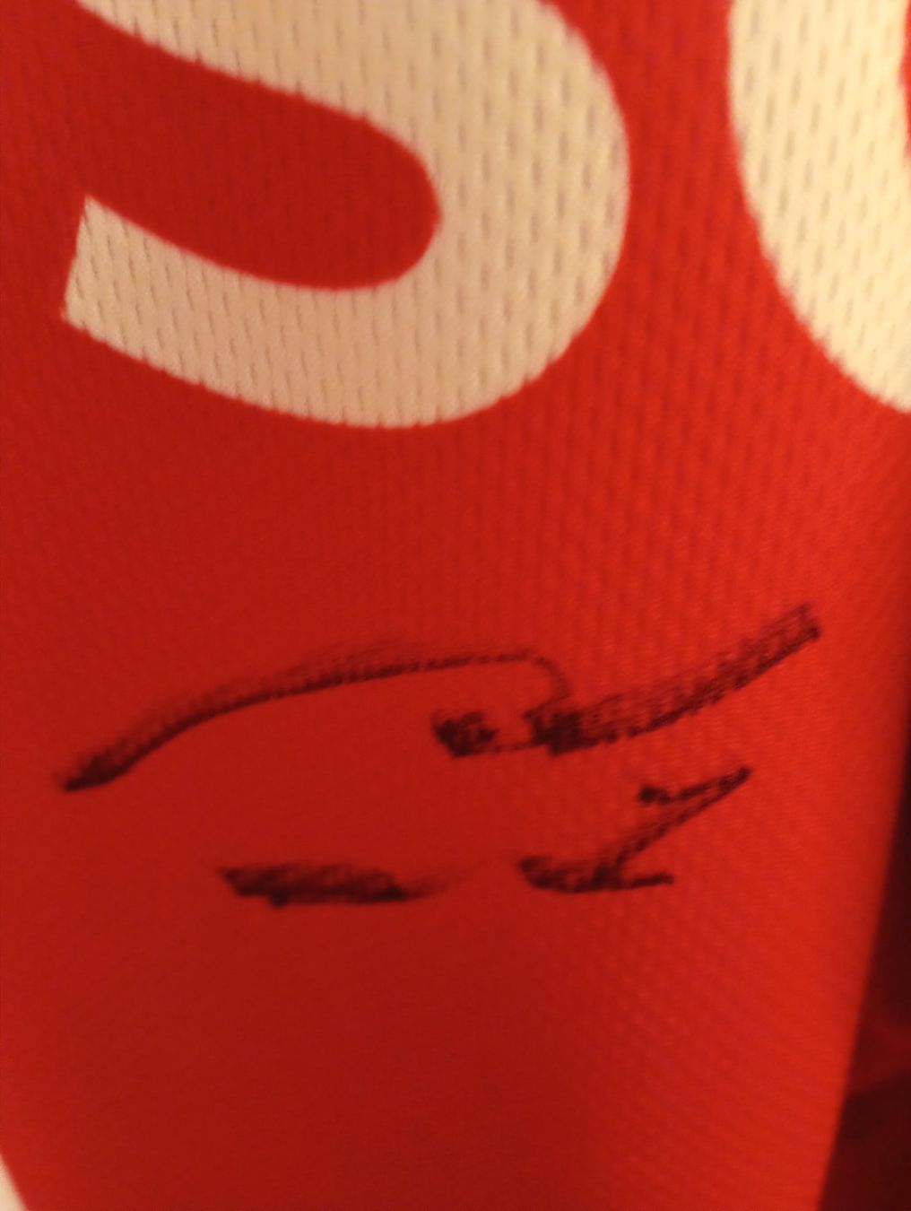 Gameworn Canottiere & Pantaloni: maglia team canda gameworn spengler cup – Usato da Sigirino venduto da acquila16 4